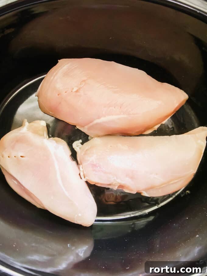 Slow Cooker Chicken Pot Pie Soup — Whole30, Paleo, Dairy-Free 3 Raw chicken in slow cooker.
