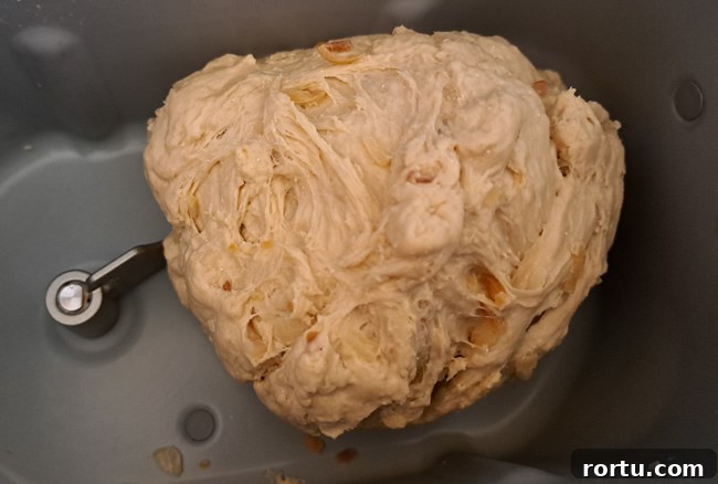 Homemade Caramelized Onion Bread Recipe 4 Ball of onion bread dough