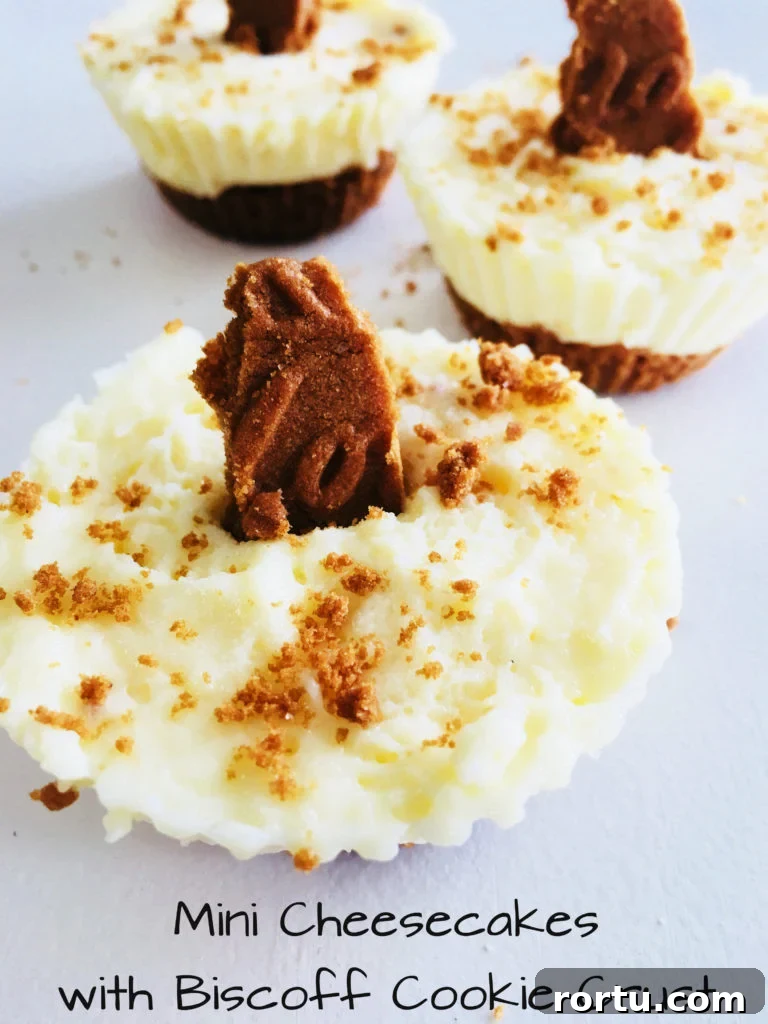 Mini Cheesecakes with Biscoff Cookie Crust