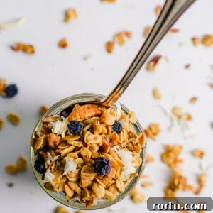 Gluten Free Blueberry Coconut Granola