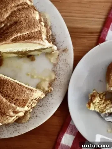 Overhead photo of tiramisu bundt cake