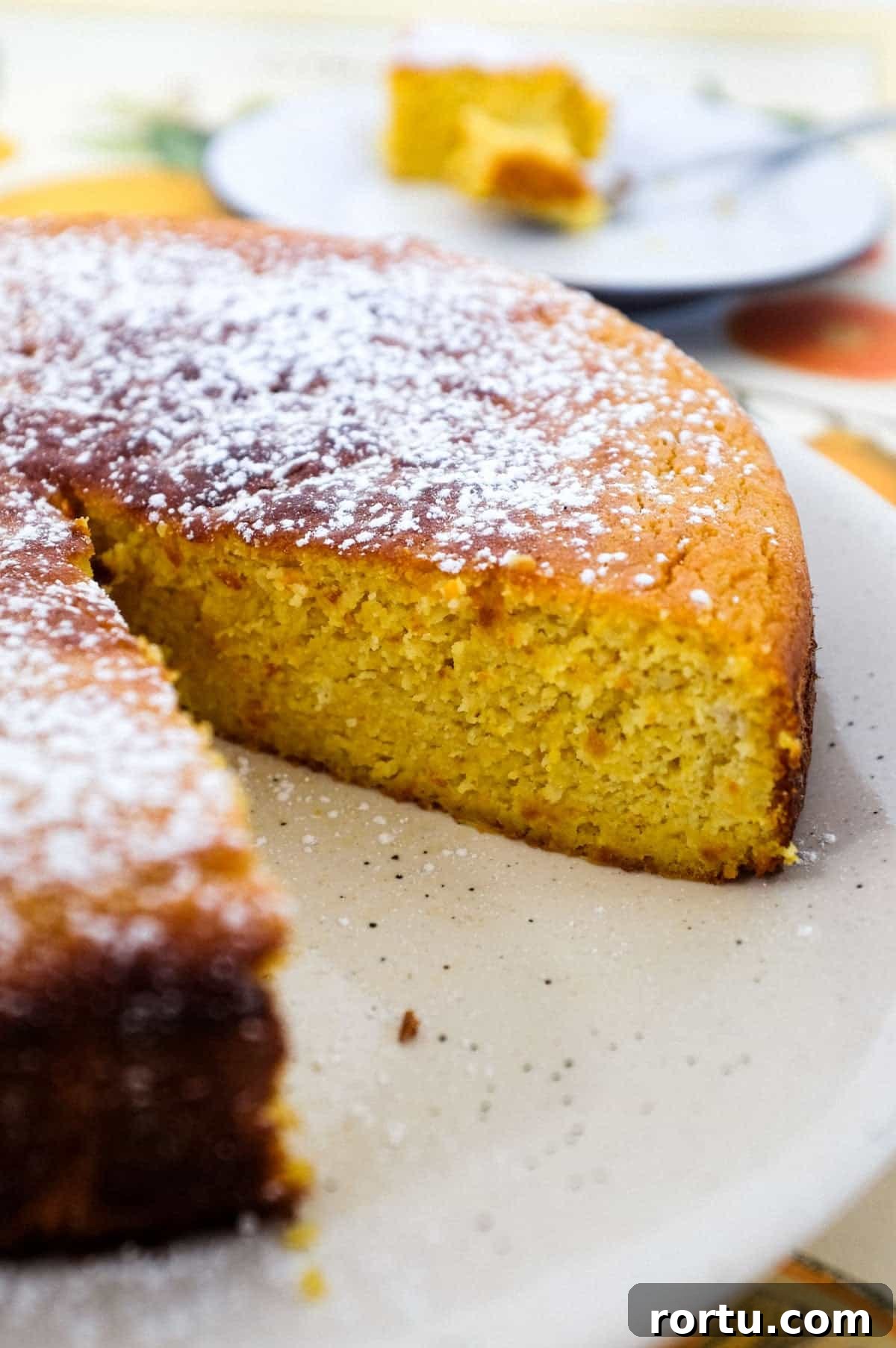 A flourless orange cake, dusted with icing sugar, sits in the foreground with a slice taken out of it. The slice of cake sits in the background out of focus.
