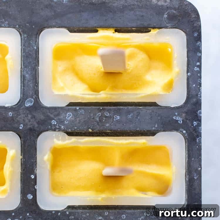 wooden stick shown in ice pop mold