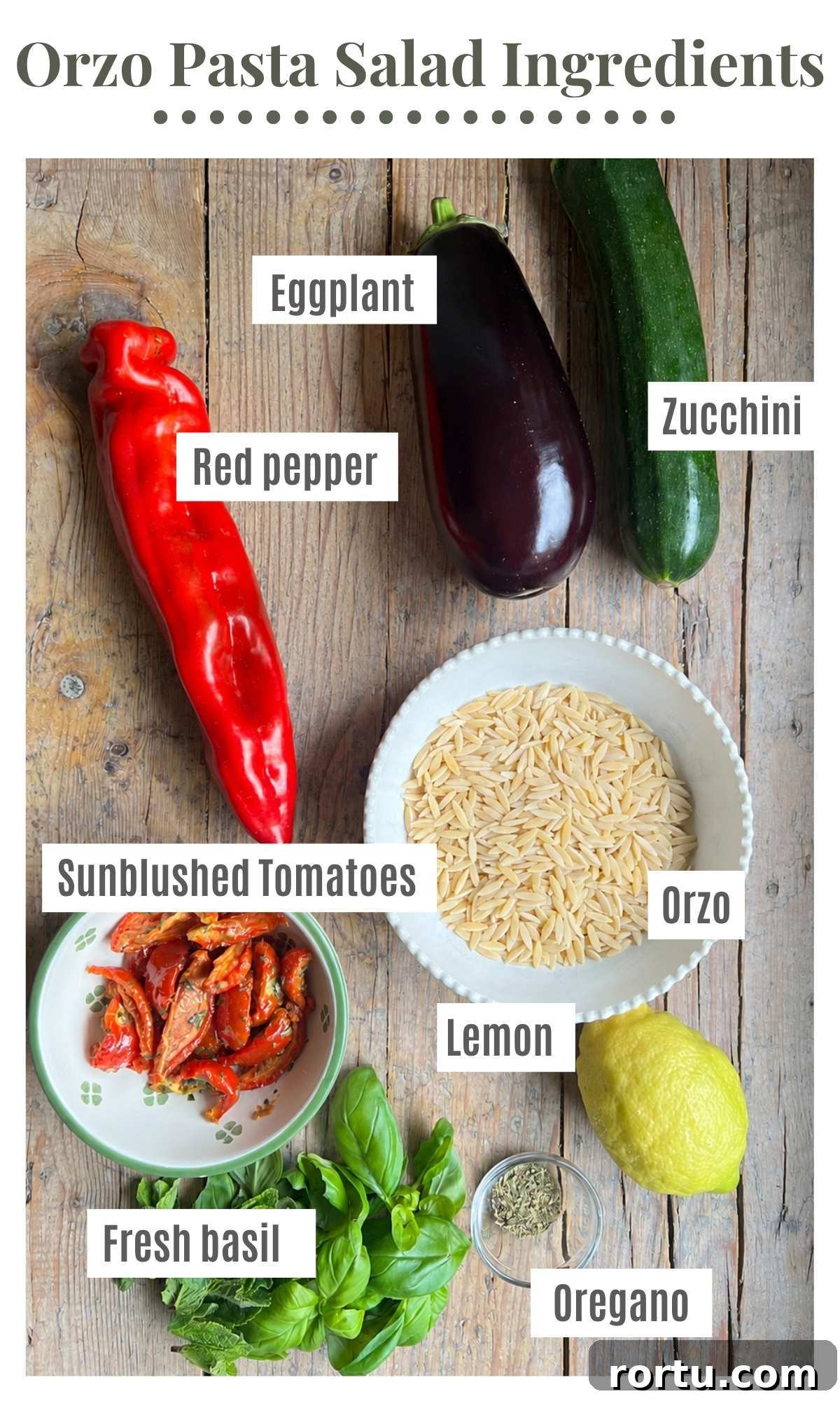 Grilled Summer Vegetables Orzo Salad with Lemon Herb Dressing 3 An overhead shot of all the ingredients needed to make an orzo pasta salad. The labelled ingredients are red pepper, eggplant, zucchini, orzo, sun blushed tomatoes, lemon, basil, oregano.