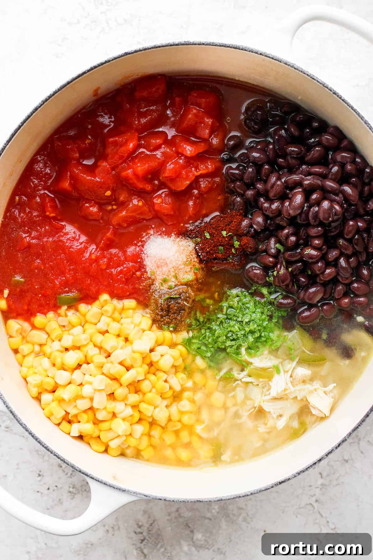 Chicken Tortilla Soup Recipe with Crock Pot and Instant Pot Options 6 The dutch oven with all the other soup ingredients added.
