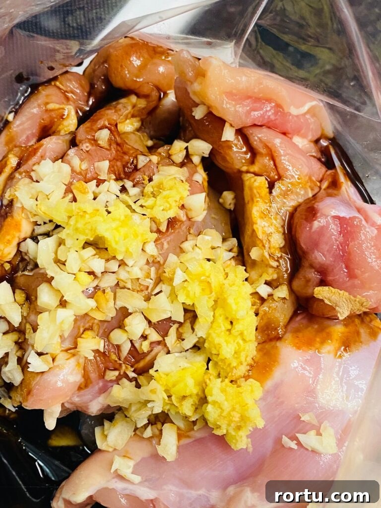 Japanese BBQ Chicken Recipe — Yakitori-Style Grilled Chicken 4 chicken with the marinade in a bag