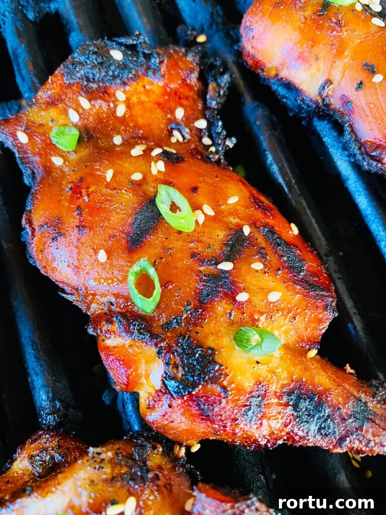 Japanese BBQ Chicken Recipe — Yakitori-Style Grilled Chicken 7 Japanese BBQ Grilled Chicken