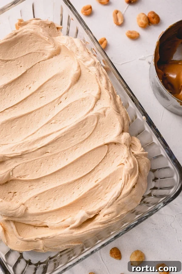 Peanut Butter Buttercream Frosting Recipe for Smooth, Spreadable Icing 6 Seriously addicting peanut butter buttercream frosting - insanely delicious paired with chocolate cake, or cupcake, or brownies!!