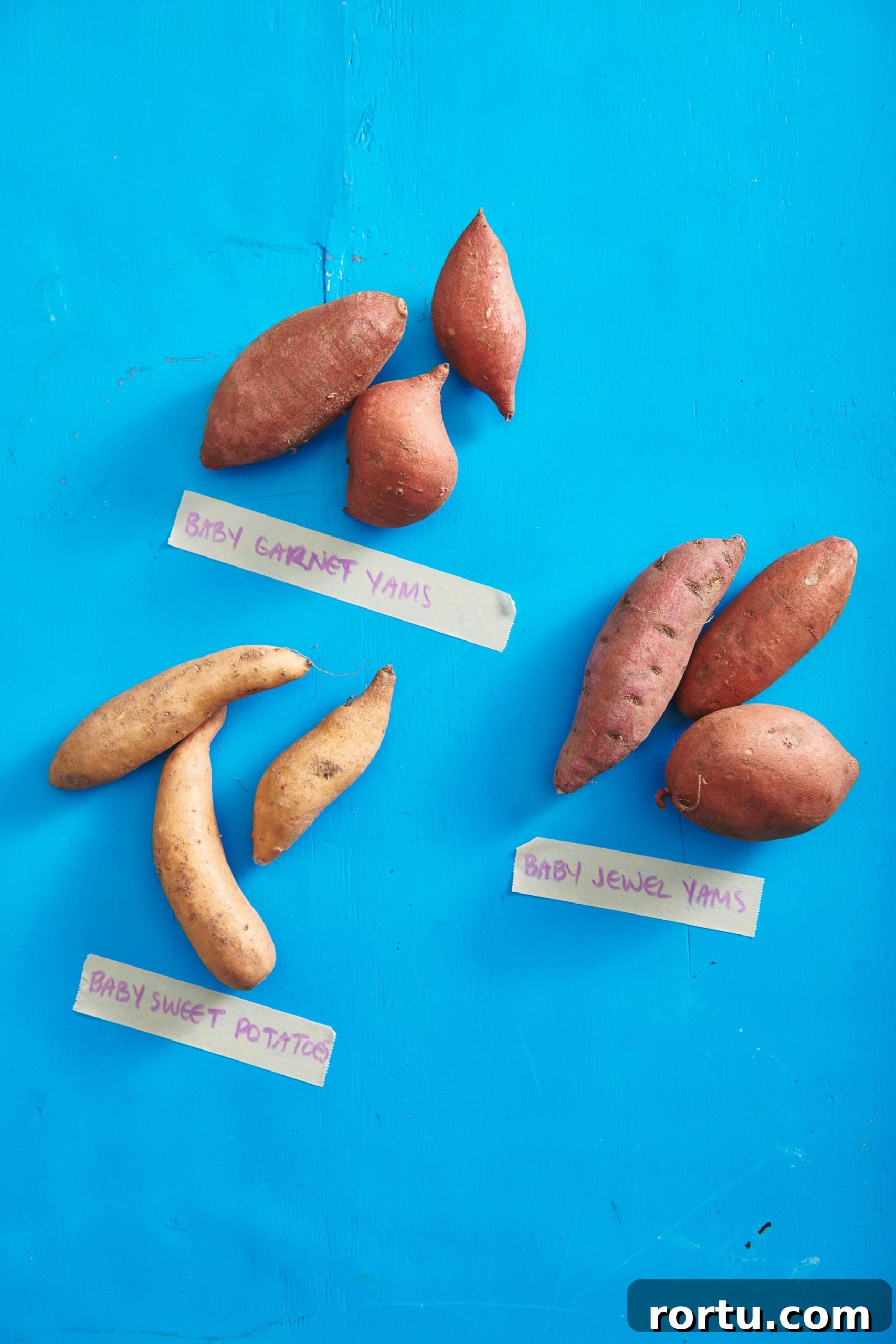 Several varieties of baby sweet potatoes on a bright blue surface.