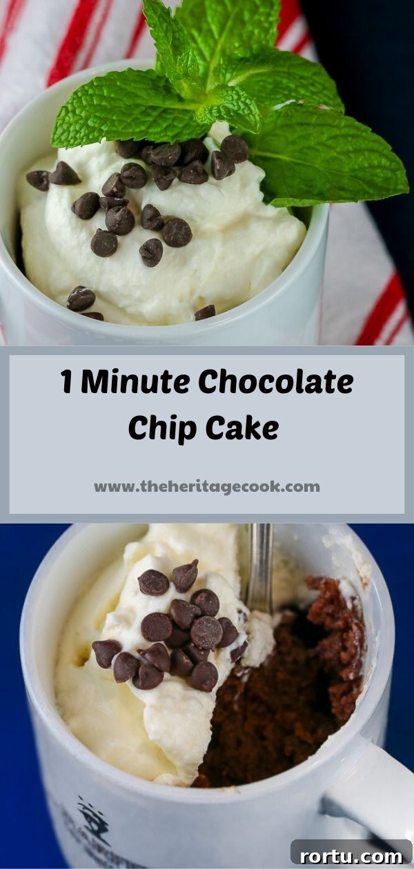 1 Minute Gluten Free Chocolate Chip Chocolate Cake in a Mug; © 2019 Jane Bonacci, The Heritage Cook