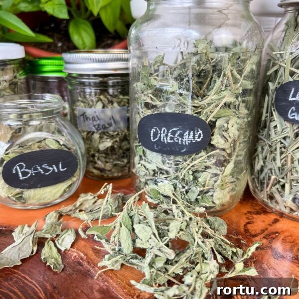 full jars of whole herbs oregano and basil