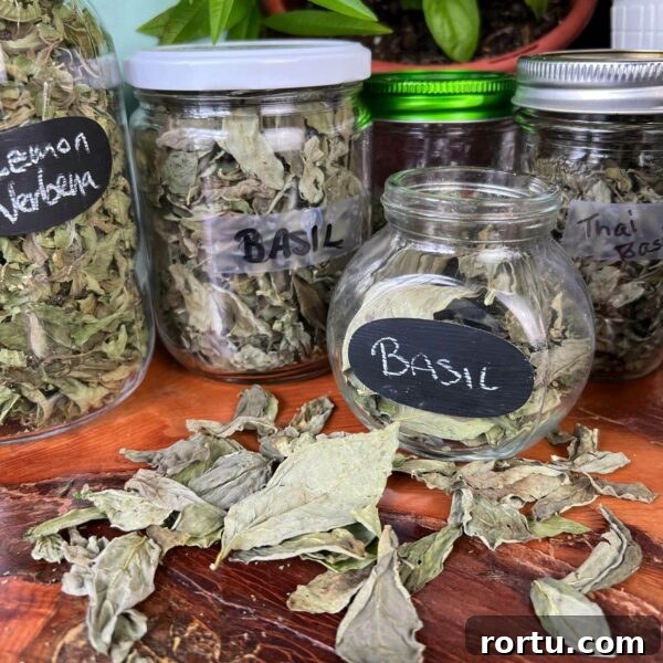 two jars of dried basil and whole basil leaves