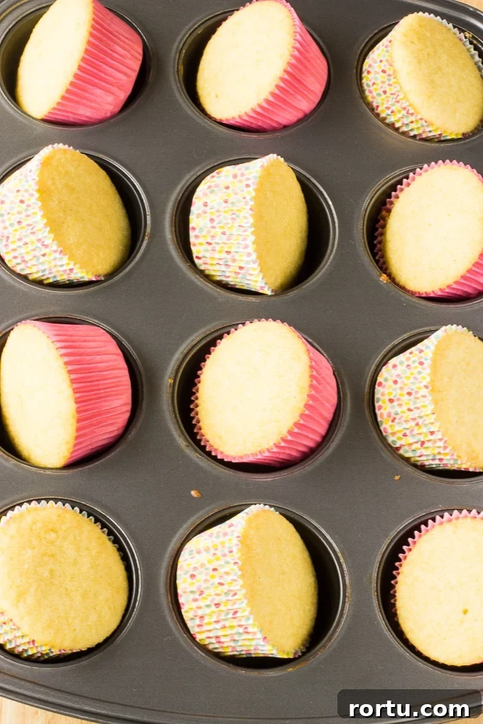 Classic Vanilla Cupcake Recipe with Perfect Buttercream Frosting 4 the best vanilla cupcakes recipe