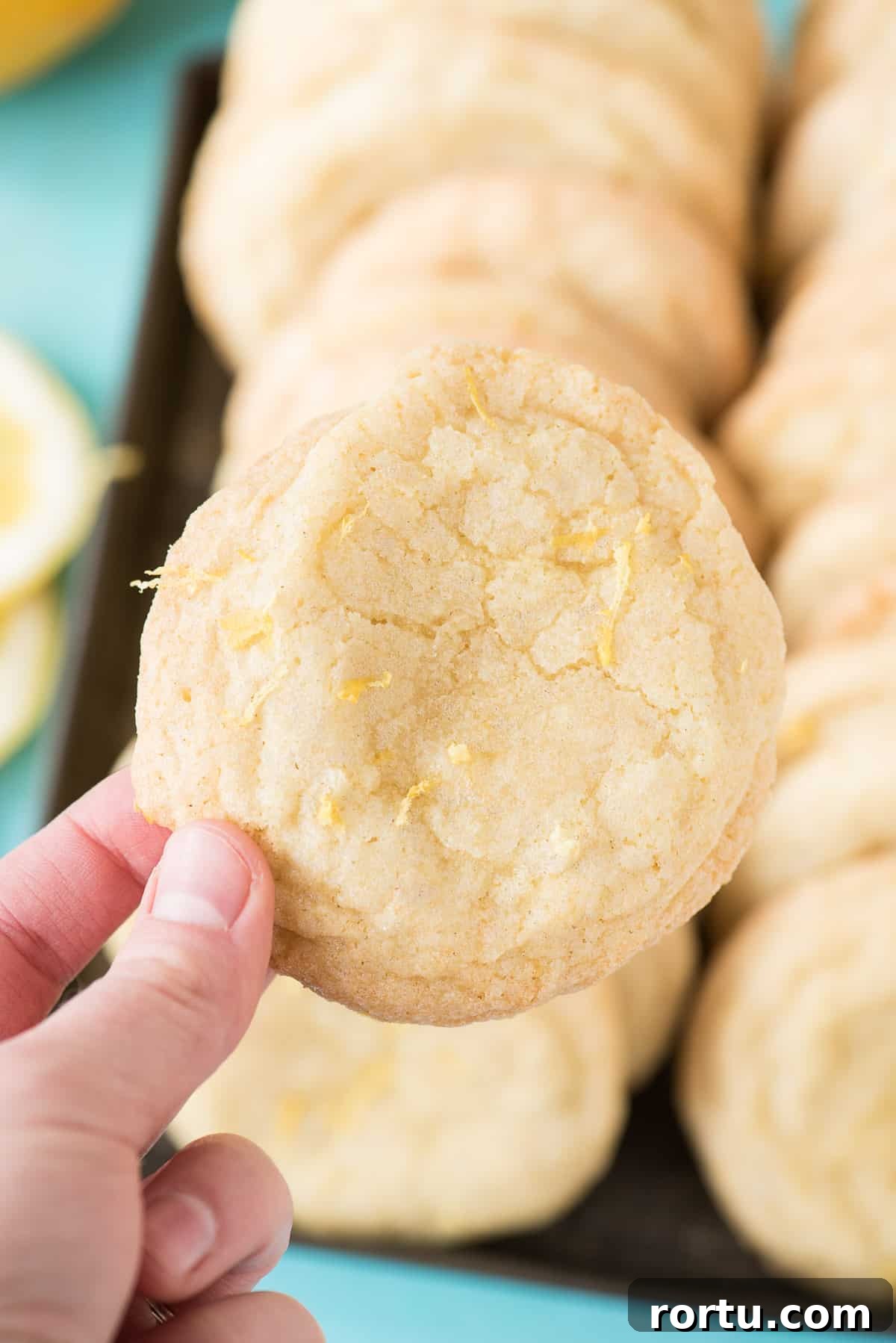 hand holding lemon sugar cookie with cookies in background