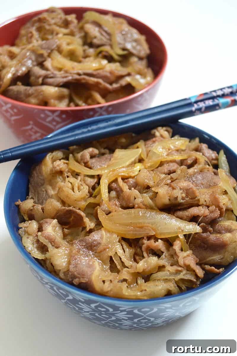 gyudon beef bowl