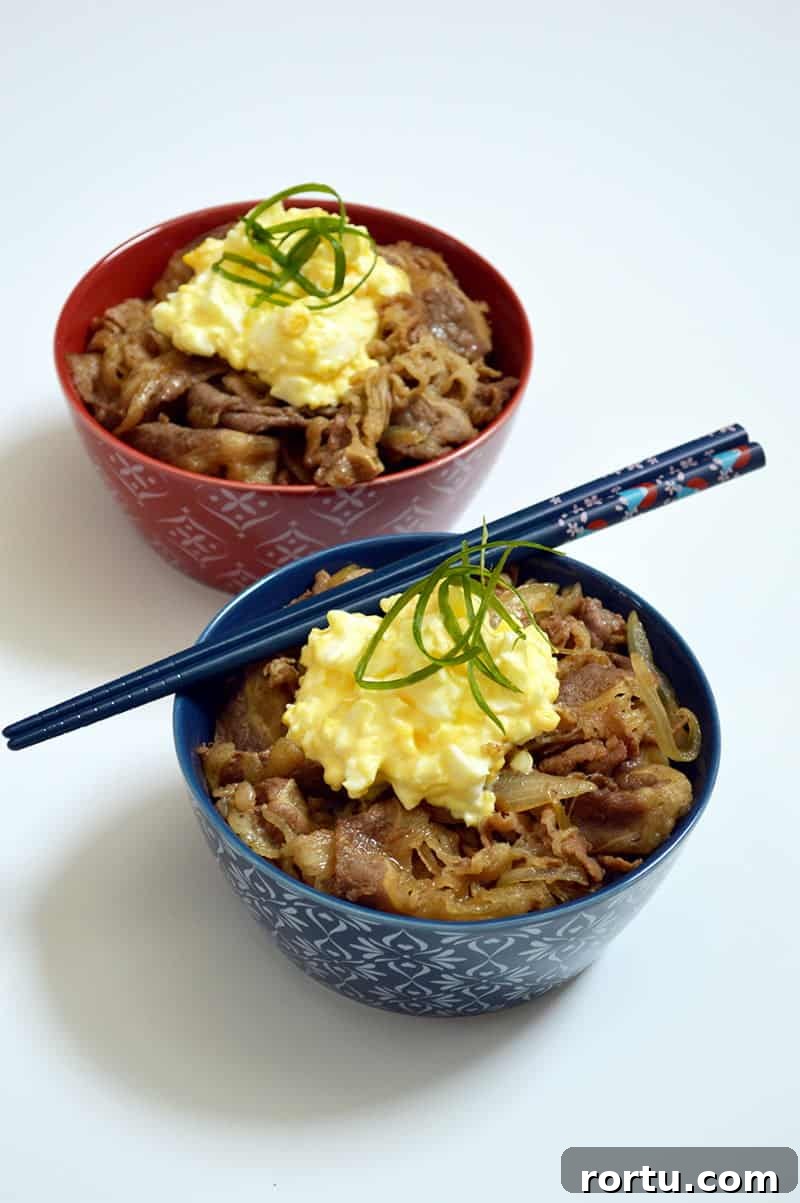 gyudon beef bowl