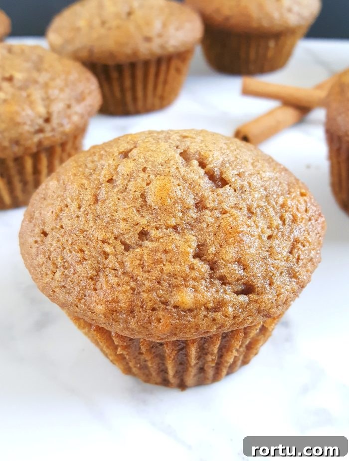 Irresistible Applesauce Muffins Recipe for Moist, Fluffy Results 2 Best Applesauce Muffins Recipe Ever - The best easy one bowl recipe for moist applesauce muffins made with oil, perfectly sweetened, and spiced with cinnamon and nutmeg.