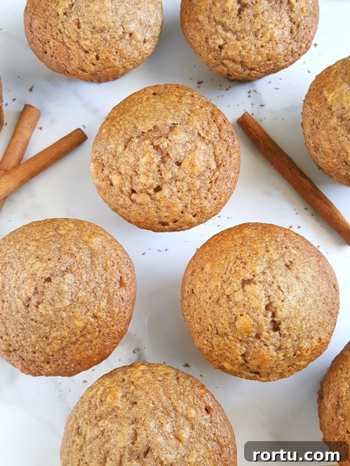 Irresistible Applesauce Muffins Recipe for Moist, Fluffy Results 3 Best Applesauce Muffins Recipe Ever - The best easy one bowl recipe for moist applesauce muffins made with oil, perfectly sweetened, and spiced with cinnamon and nutmeg.