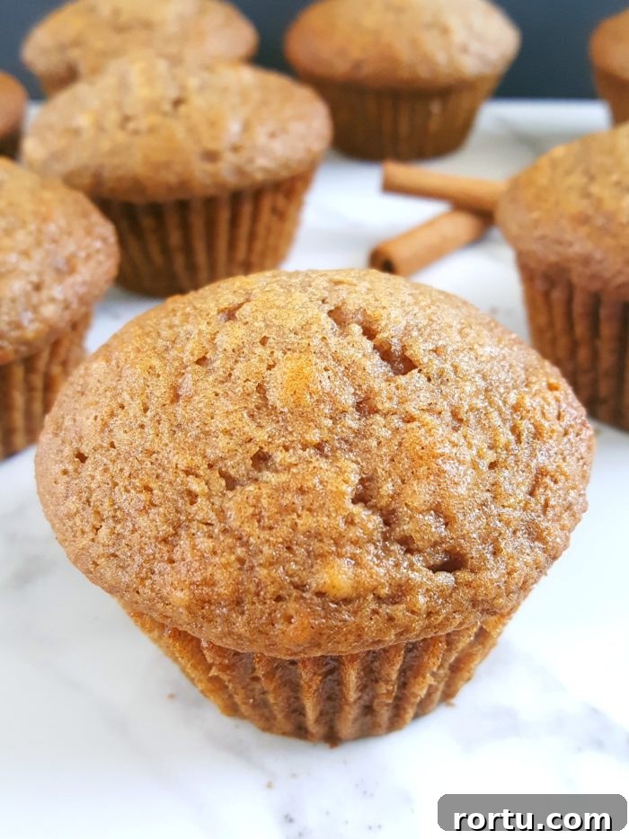 Irresistible Applesauce Muffins Recipe for Moist, Fluffy Results 4 Best Applesauce Muffins Recipe Ever - The best easy one bowl recipe for moist applesauce muffins made with oil, perfectly sweetened, and spiced with cinnamon and nutmeg.