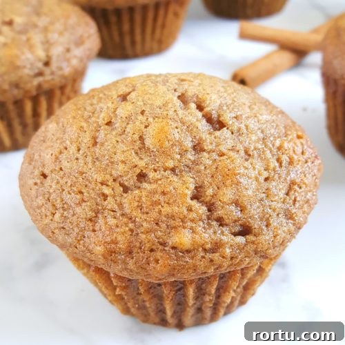 Irresistible Applesauce Muffins Recipe for Moist, Fluffy Results 5 Best Applesauce Muffins Recipe Ever - The best easy one bowl recipe for moist applesauce muffins made with oil, perfectly sweetened, and spiced with cinnamon and nutmeg.
