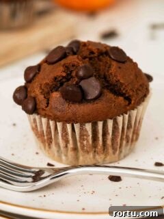 Chocolate Pumpkin Muffins Recipe — Moist Spiced Chocolate Muffins 14 A closeup of a chocolate pumpkin muffin with chocolate chips on top.