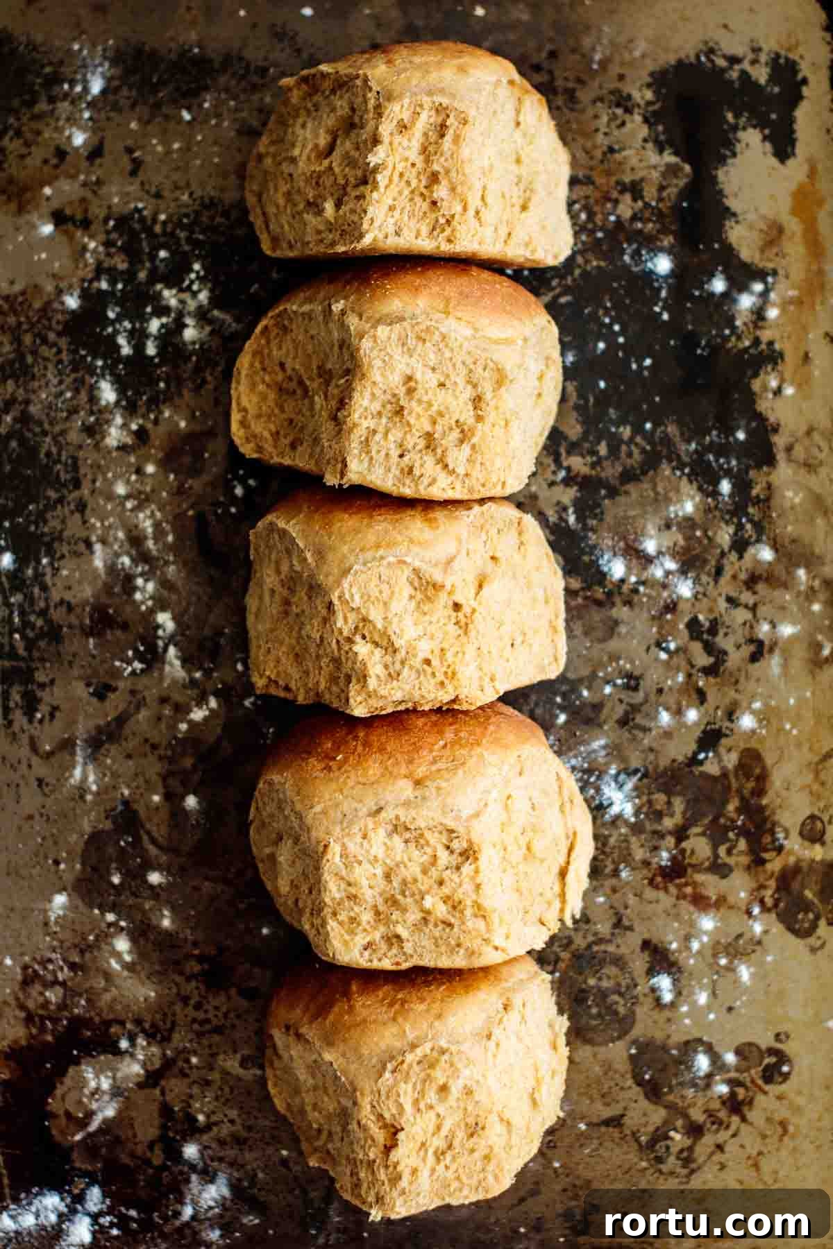 Quick Whole-Wheat Dinner Rolls That Rise Perfectly 2 Whole wheat rolls.