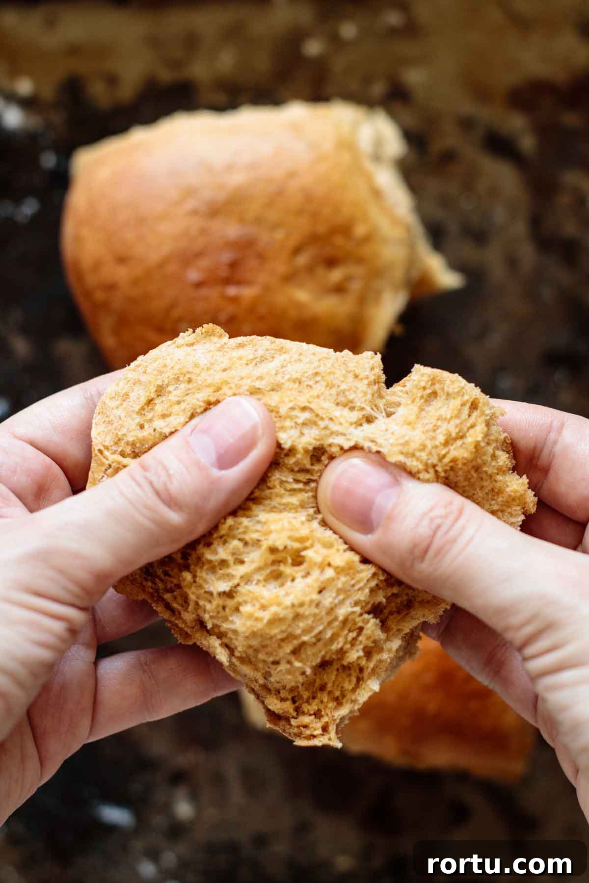 Quick Whole-Wheat Dinner Rolls That Rise Perfectly 12 Hands opening a roll, showing its crumb.