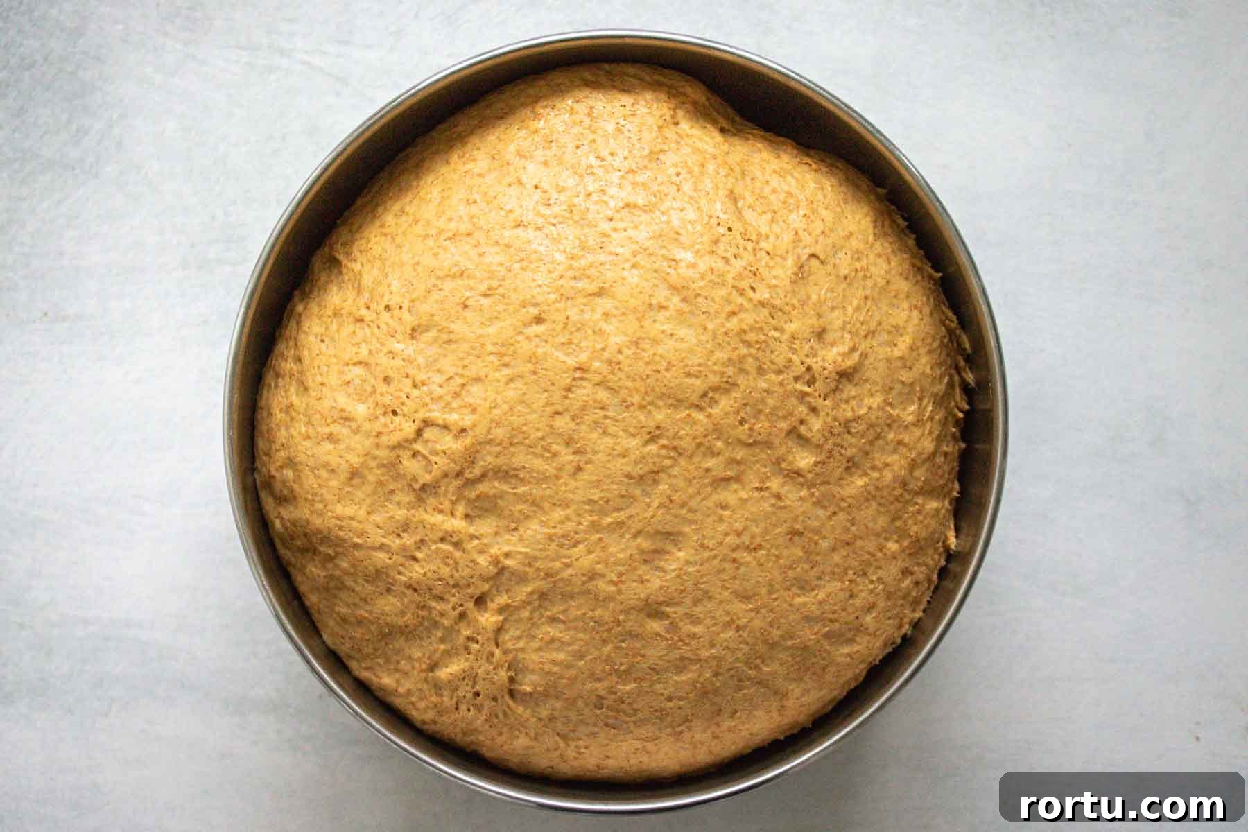 Quick Whole-Wheat Dinner Rolls That Rise Perfectly 7 Dough after first rise, doubled, inside metal bowl.