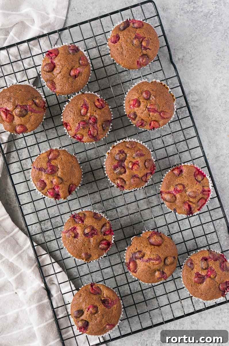 gluten-free orange cranberry muffins