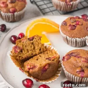 orange cranberry muffins