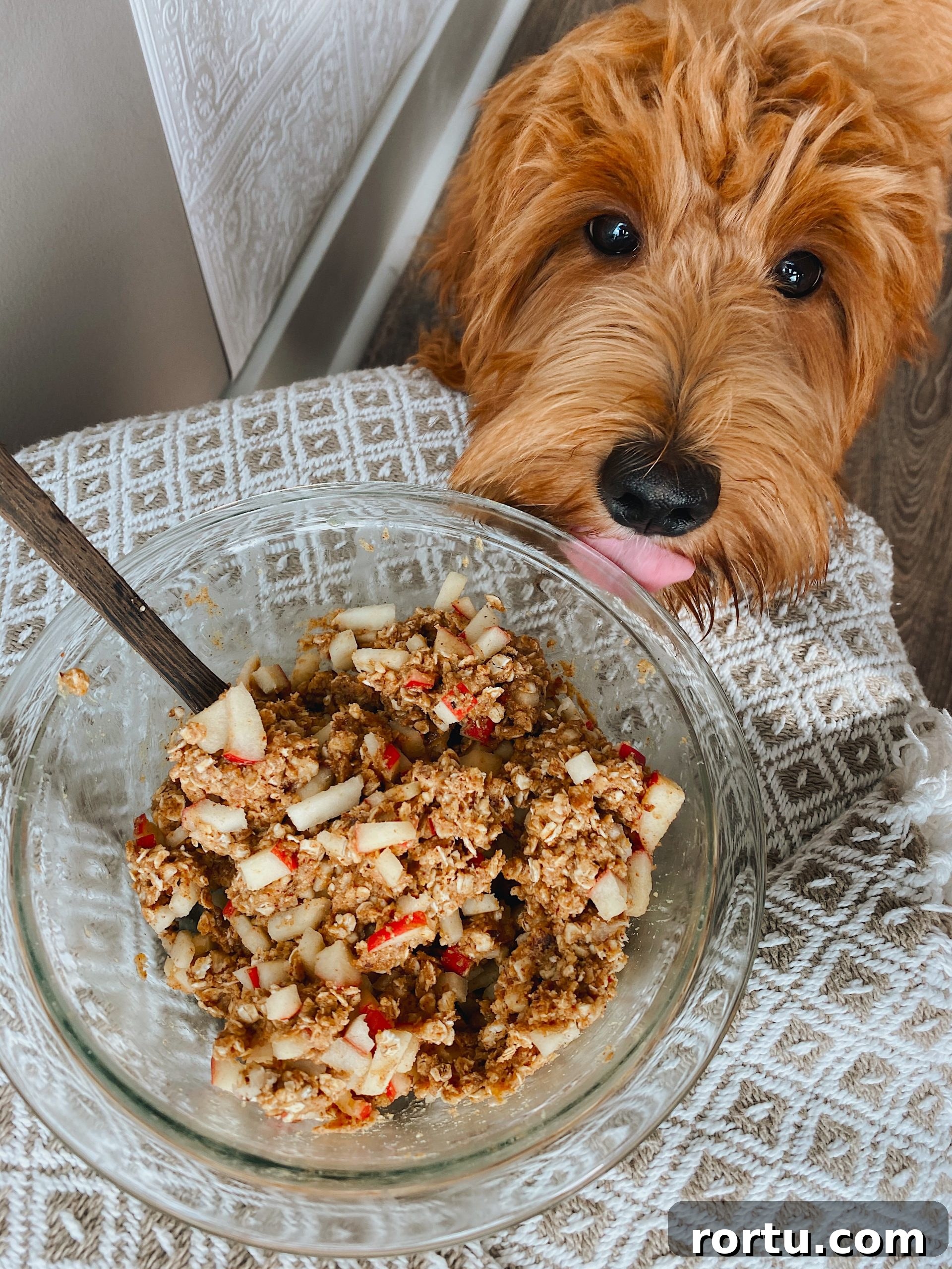 Apple Cinnamon Bites Recipe: Quick No-Bake Snack for Kids and Adults 6 apple cinnamon bite mixture with goldendoodle licking the side of the bowl.