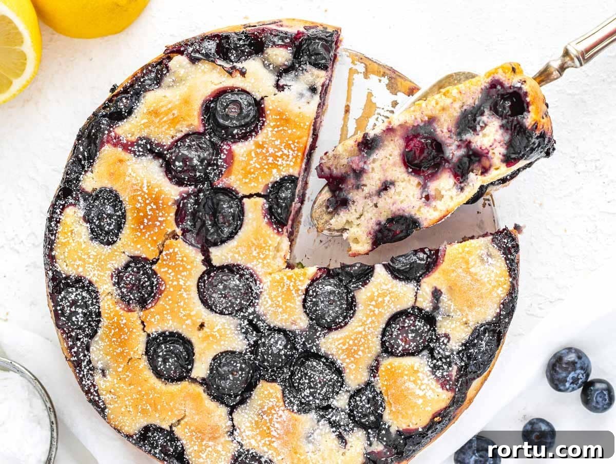 blueberry cake with fresh blueberries