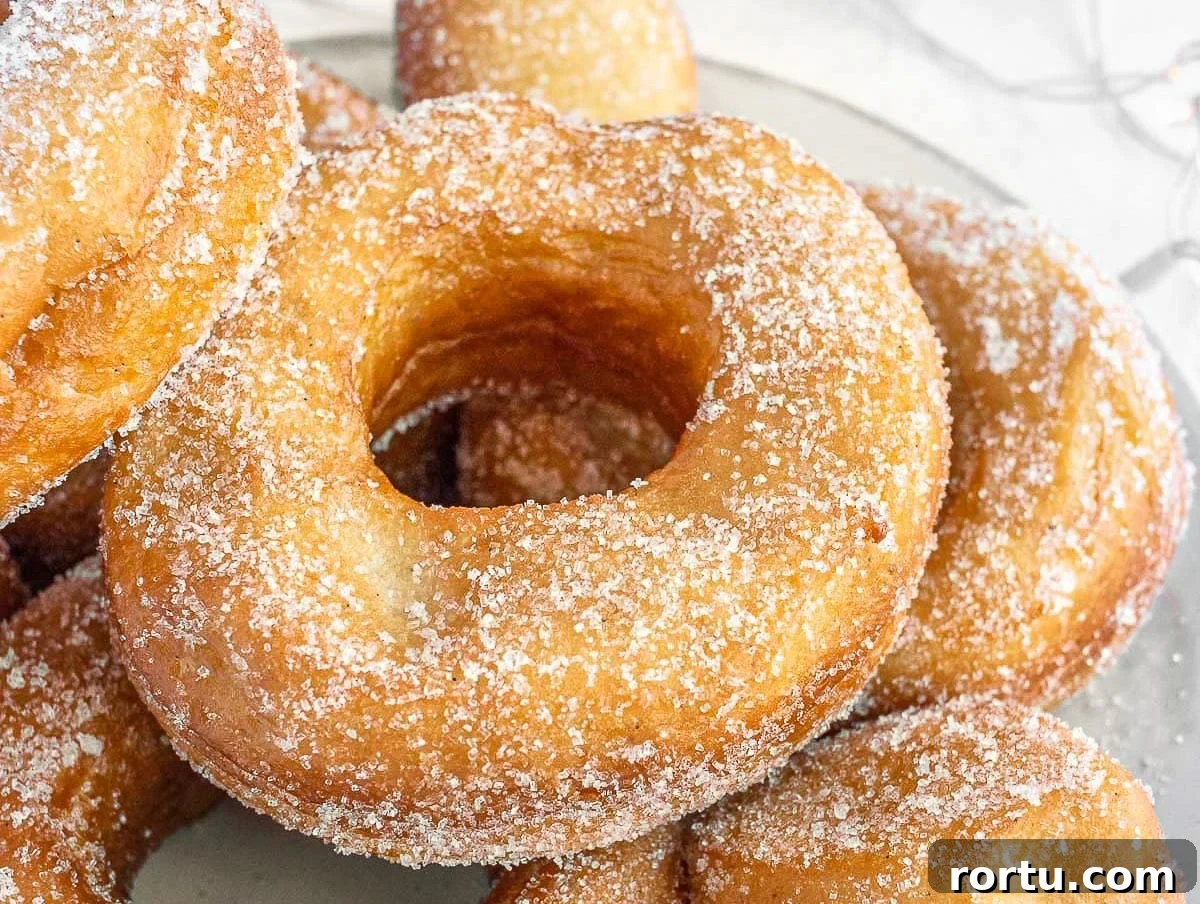 vegan donuts with sugar