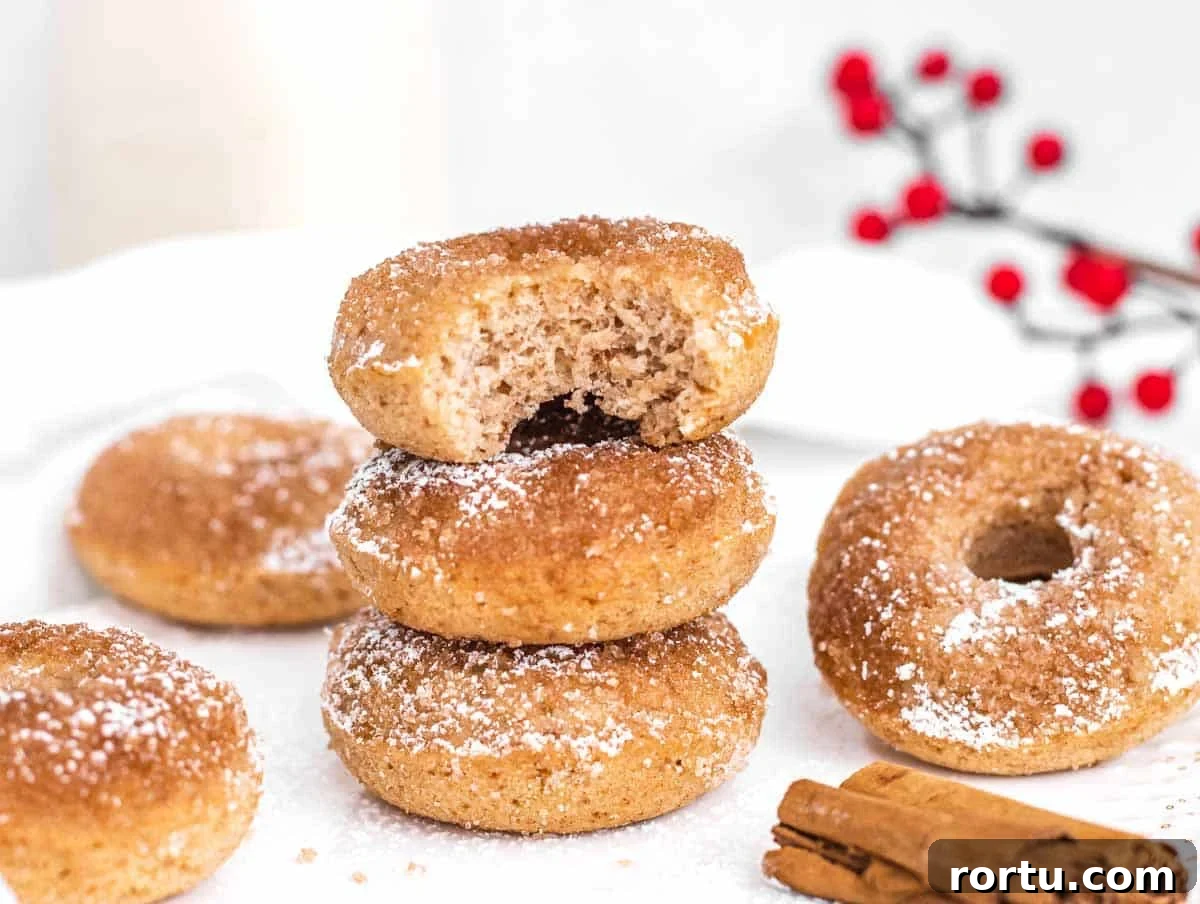 cake donuts with a bite