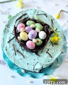 An overhead picture of a speckled Easter cake with a chocolate nest of eggs on top.