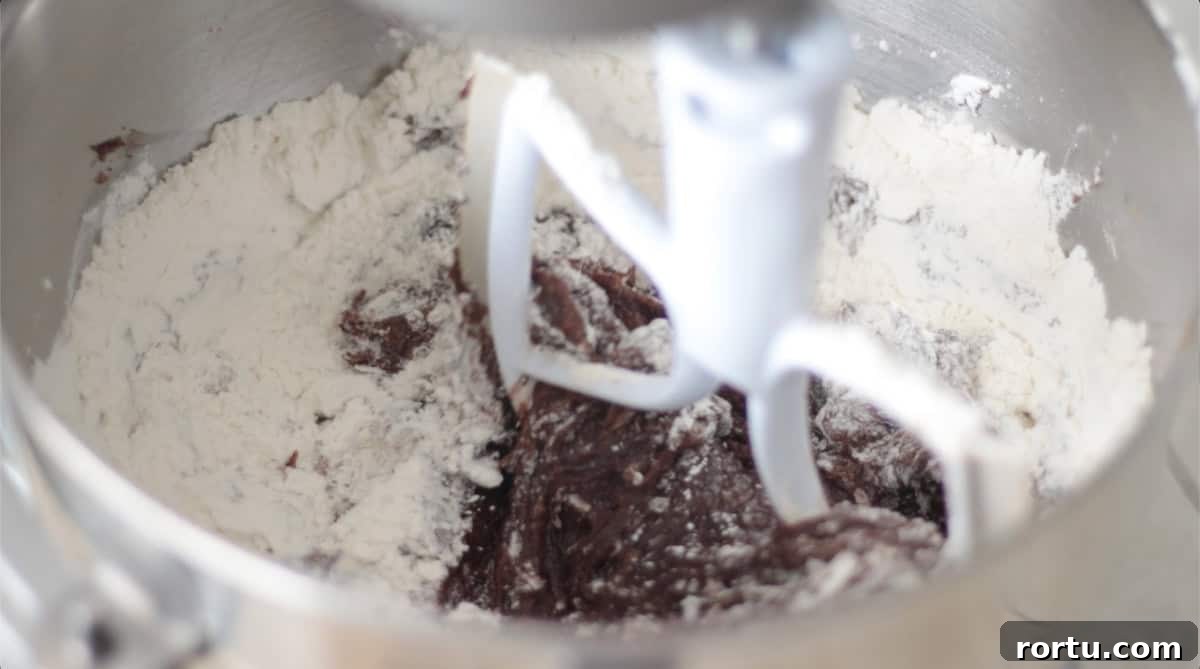 Flour being mixed into pumpkin cookie dough.