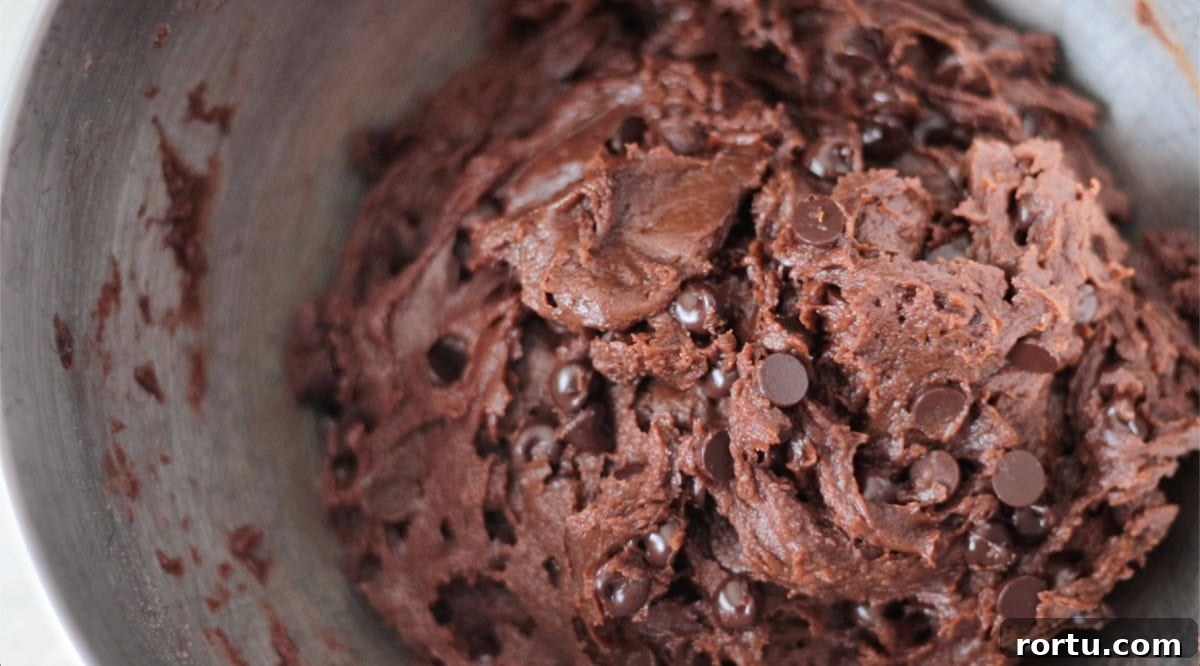 Bowl of double chocolate pumpkin cookie dough.