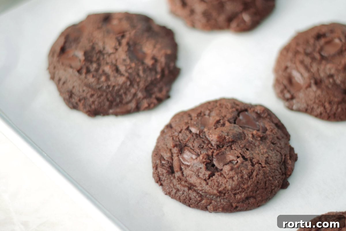 Baked pumpkin chocolate cookies on baking sheet.