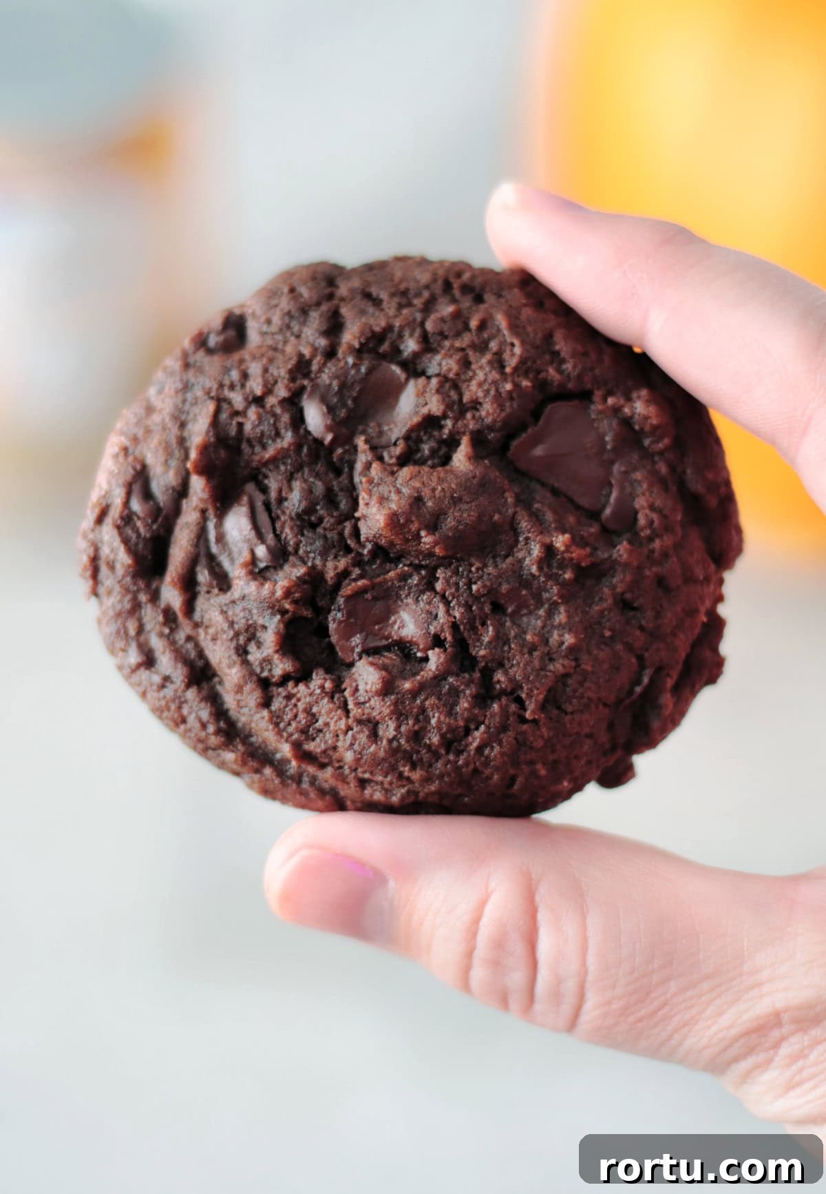 Hand holding double chocolate pumpkin cookie.