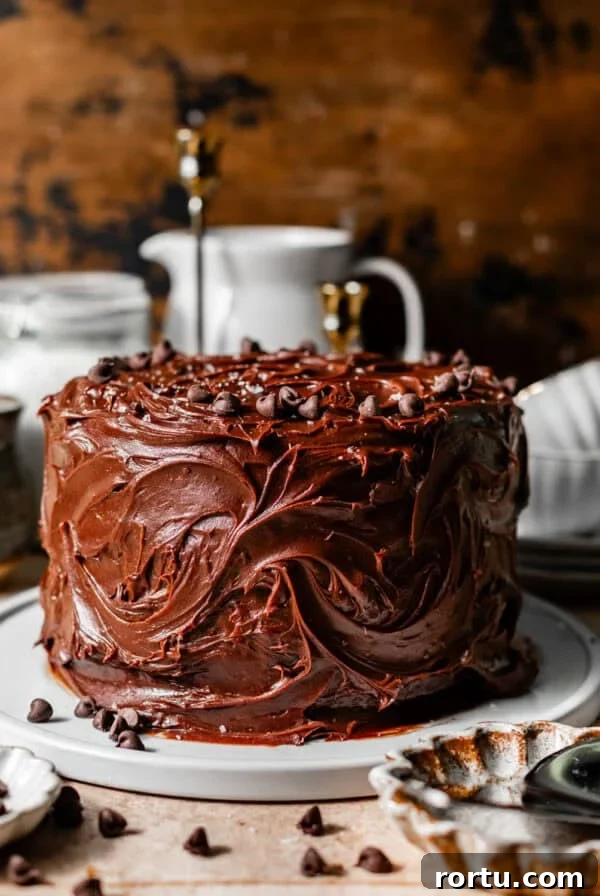 matilda chocolate cake on a white cake plate with chocolate chips and flake sea salt on top.