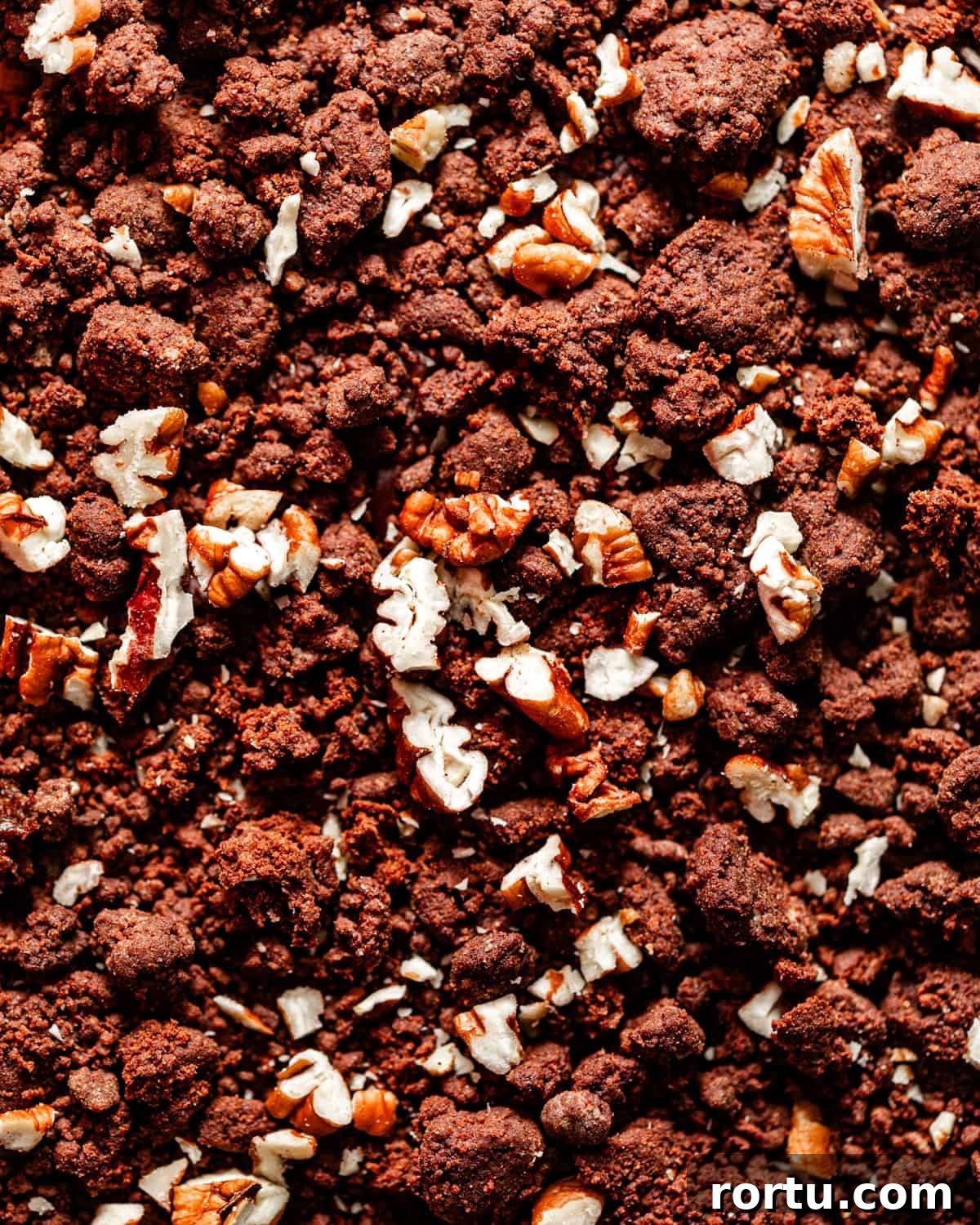 chocolate crunch topping with chopped pecans on a flat surface.