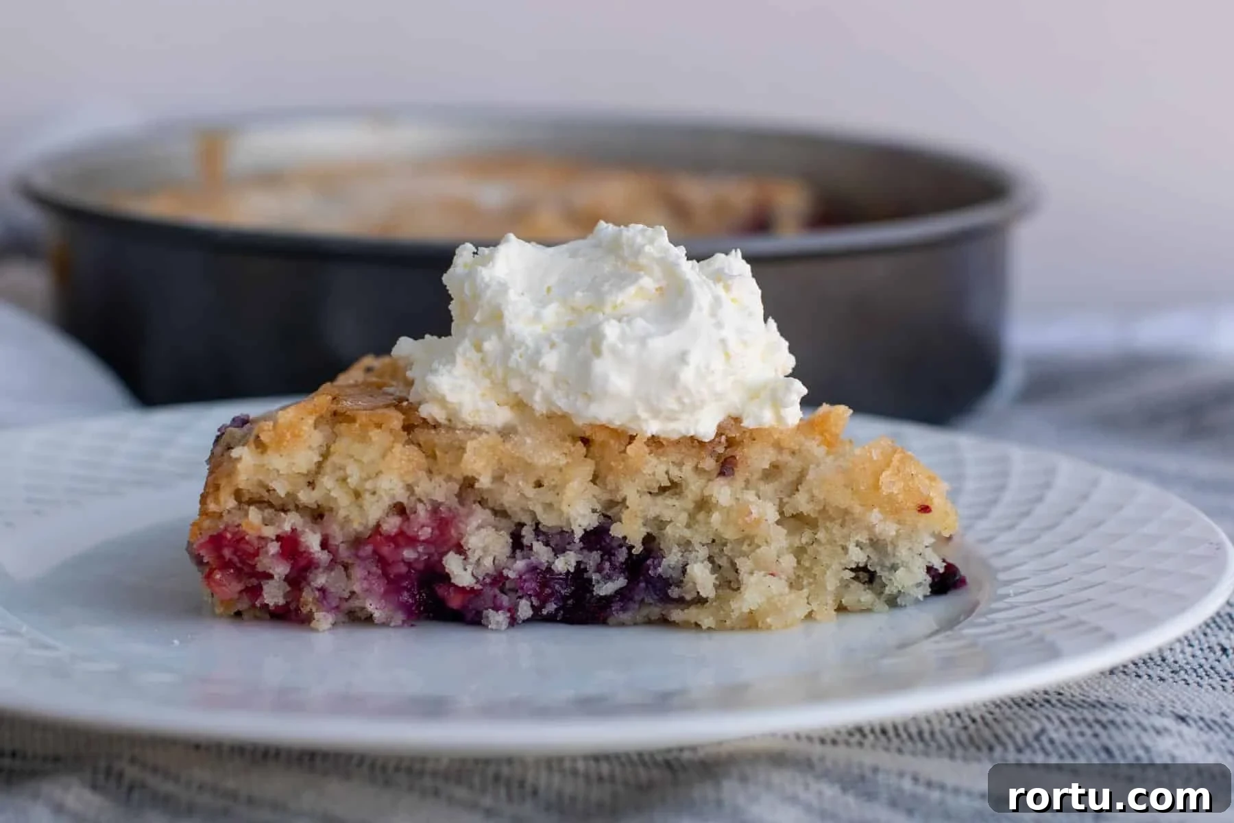 Close-up of a slice of sourdough discard triple berry cake on a white plate, topped with a dollop of whipped cream, showing a soft crumb and vibrant berry layers.