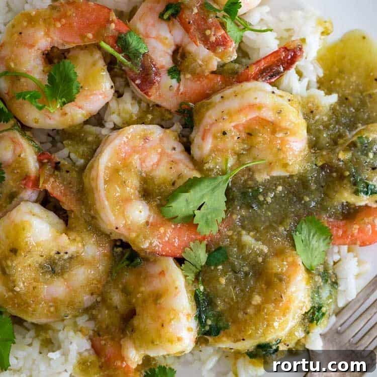 A close up of a plate of Shrimp and salsa verde Sauce