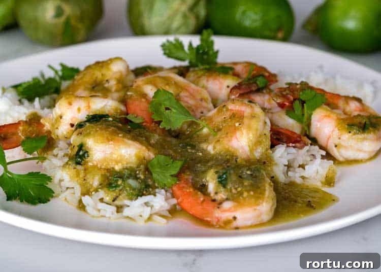 Salsa Verde Shrimp on plate with rice