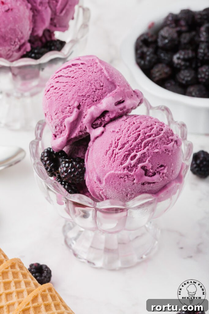 three scoops of purple, black raspberry ice cream in a scalloped glass ice cream dish with black raspberries for garnish.