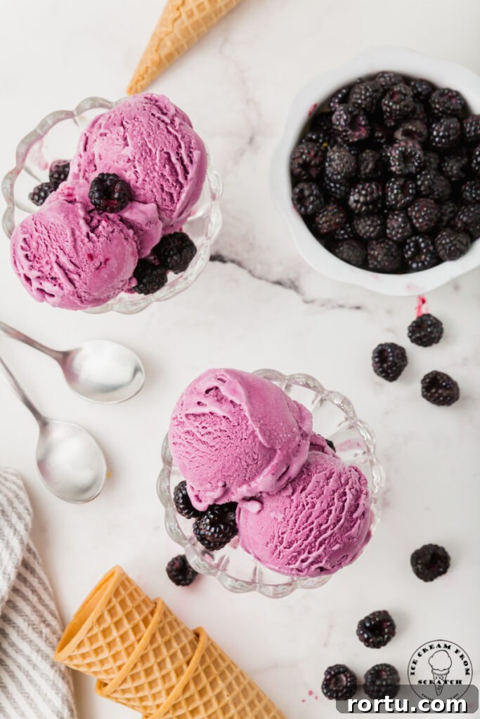 top down image of a marble countertop with two glass dishes of black raspberry ice cream, a white bowl of dark raspberries, two spoons, and sugar cones.