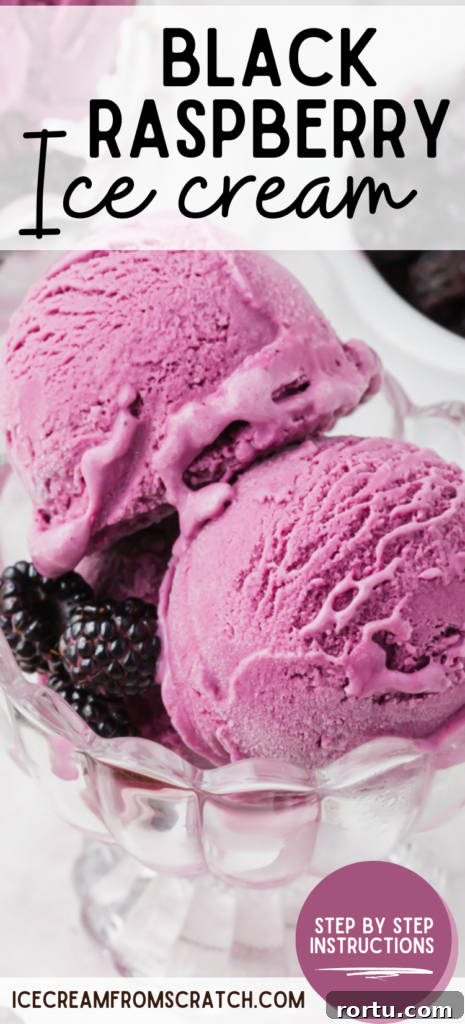 black raspberry ice cream pinterest pin collate