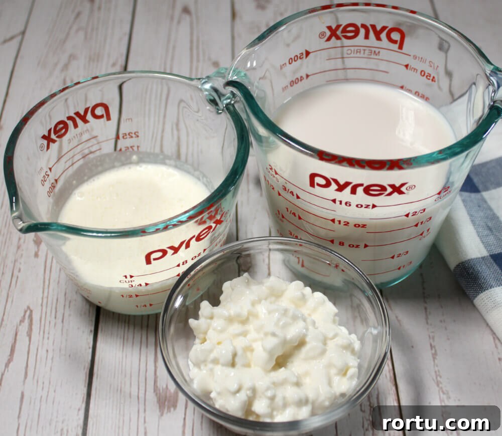 Strawberry Raspberry Cottage Cheese Keto Smoothie3
