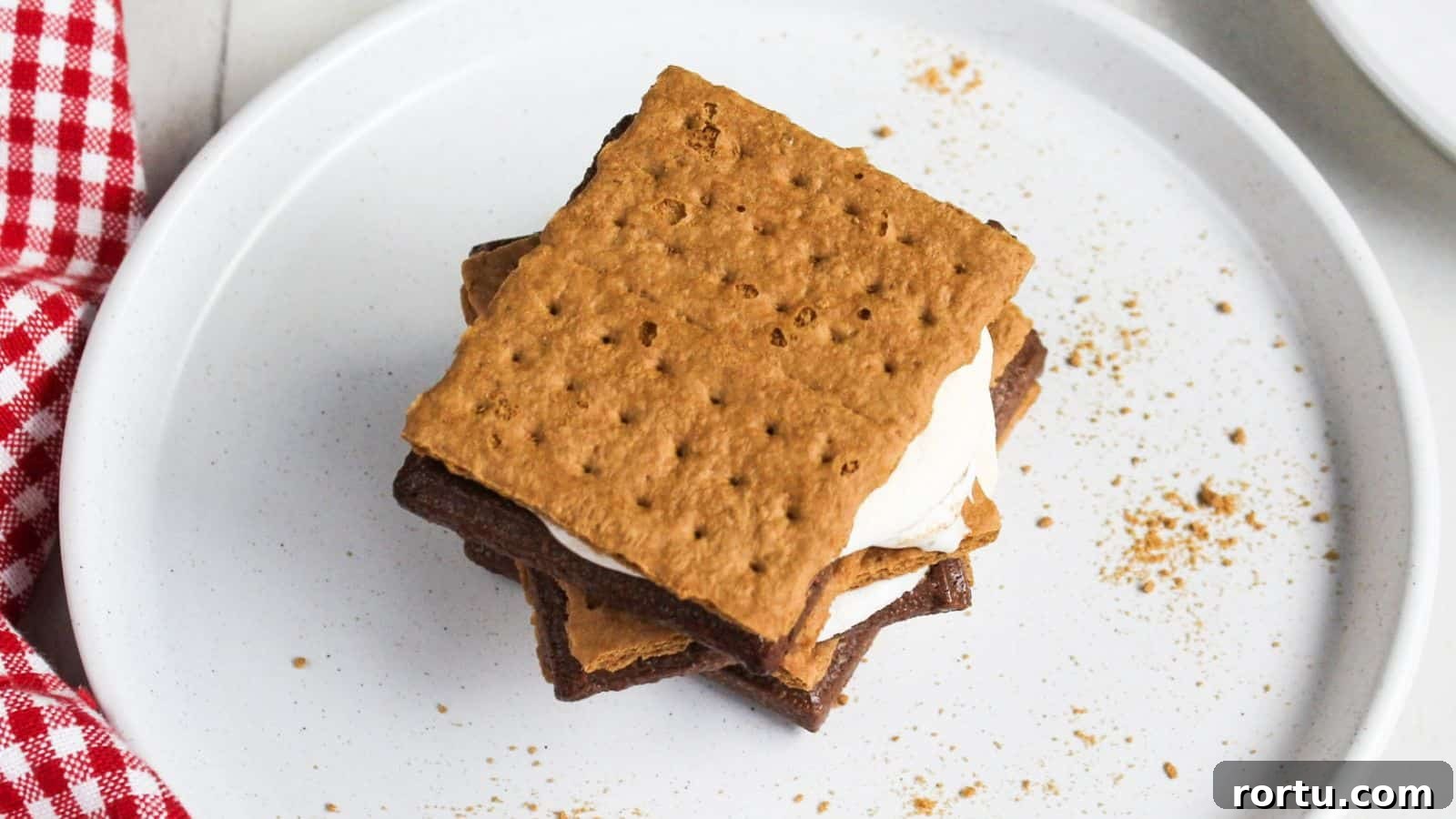 A s'more with melted marshmallow and chocolate between graham crackers on a white plate.