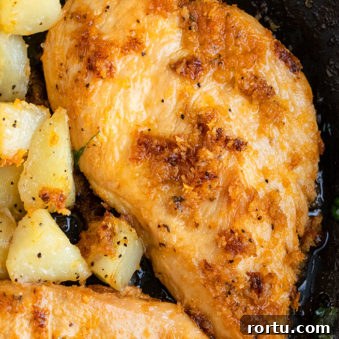 One-Pot Roast Chicken and Potatoes Recipe for Simple Weeknight Meals 4 Easy Chicken and Potatoes- Closeup in Black Pan